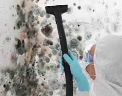 Why You Should Choose Our Mold Remediation Services in Meadow Lake, NM